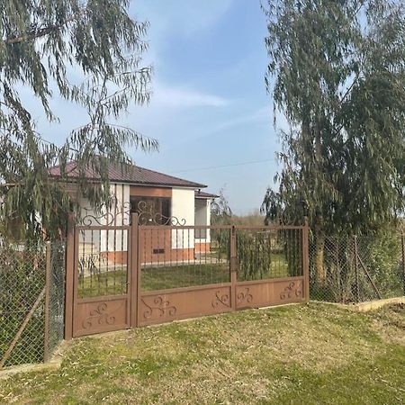 Apartment Comfort In Урекі Екстер'єр фото
