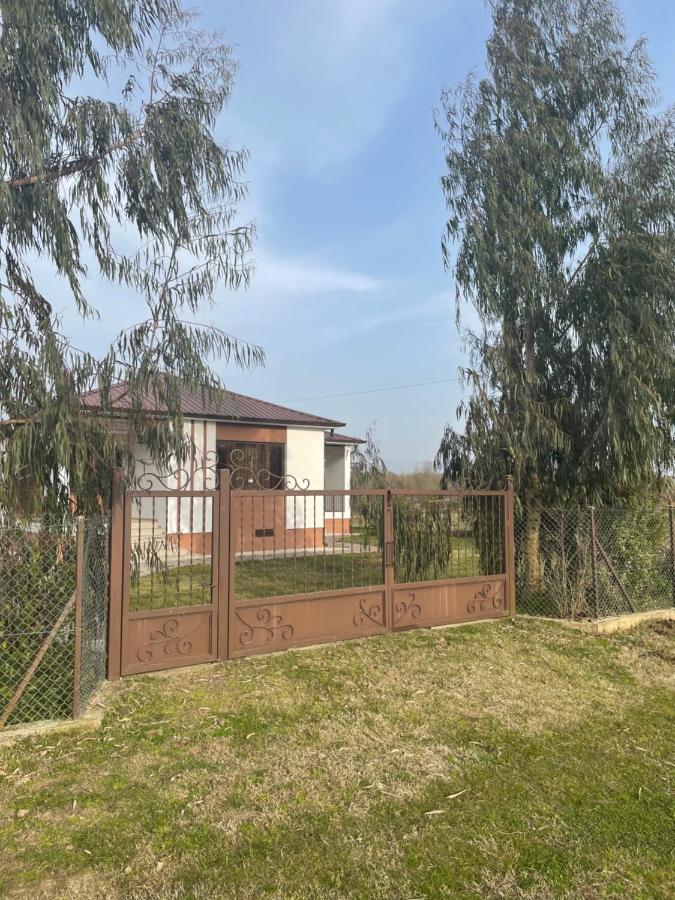 Apartment Comfort In Урекі Екстер'єр фото